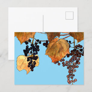 Cartão Postal Art Nouveau Uvas Congeladas