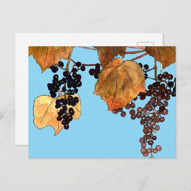 Cartão Postal Art Nouveau Uvas Congeladas (Frente/Verso)