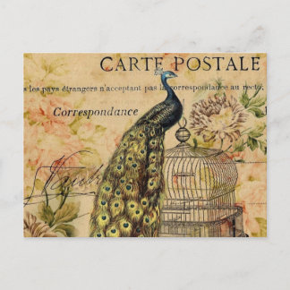 Cartão Postal art nouveau vintage paciock french provinch