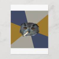 Art Student Owl Advice Animal Meme