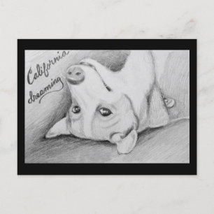 Cartão Postal Artaius, o Corgi