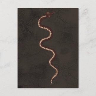 Cartão Postal Arte Aboriginal do Deserto Cobra