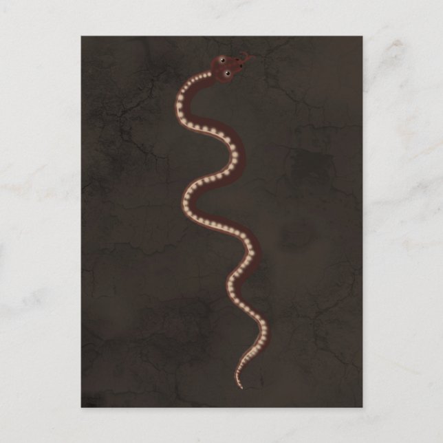 Cartão Postal Arte Aboriginal do Deserto Cobra (Frente)