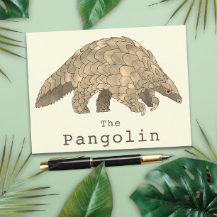 Cartão Postal Arte Animal Espécie Ameaçada Vida Selvagem Pangoli