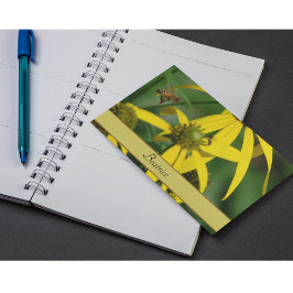 Cartão Postal Arte Botânica Antiga de Abelha Correspondência