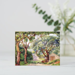 Cartão Postal Arte botânica: Cork Trees em Cintra perto de Lisbo