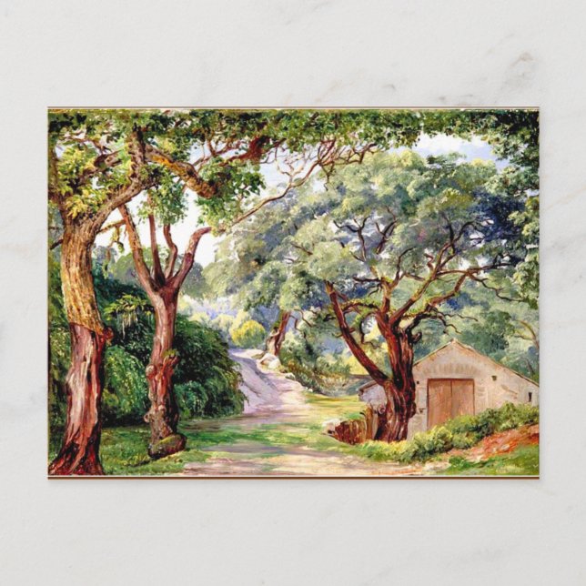 Cartão Postal Arte botânica: Cork Trees em Cintra perto de Lisbo (Frente)