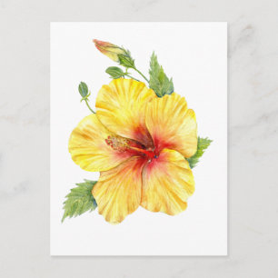 Cartão Postal Arte Botânica de Hibisco Amarelo