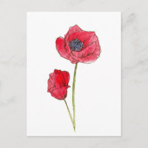Cartão Postal Arte Botânica em Aquarela da Flor de Papoula Verme