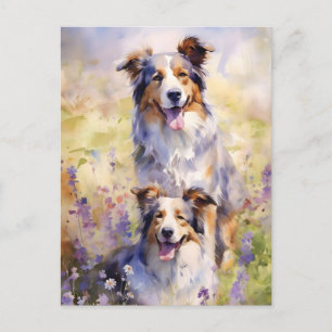 Cartão Postal Arte colorida em aquarela do Australian Shepherd