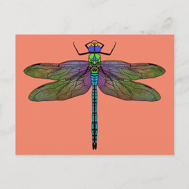 Cartão Postal Arte Colorida Imperadora Dragonfly (Frente)
