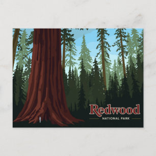 Cartão Postal Arte da Árvore Gigante do Parque Nacional Redwood