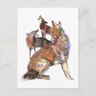 Cartão Postal Arte da Natureza Animal de Coyotes Uivando em Aqua