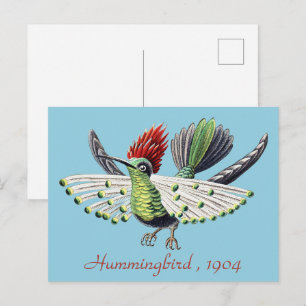 Cartão Postal Arte da Natureza de Beija-flor Colorido de Ernst H