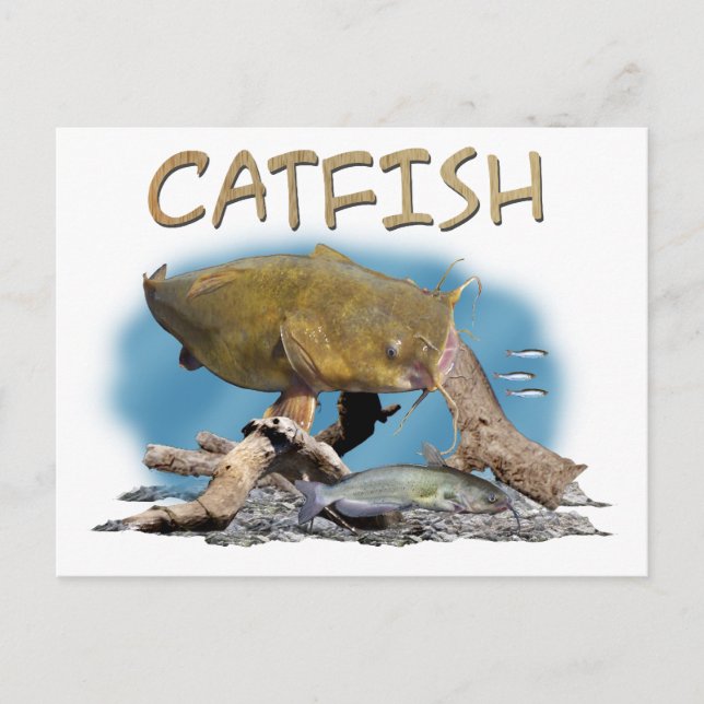 Cartão Postal Arte da pesca do peixe (Frente)
