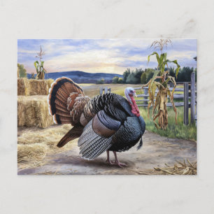 Cartão Postal Arte de Ação de Graças da Fazenda Rustic Turkey