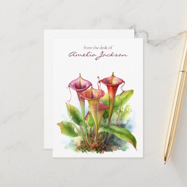 Cartão Postal Arte de Aquarela Botânica de Planta Carnívora Jarr (Frente/Verso In Situ)
