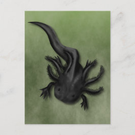Cartão Postal Arte de Axolote Melanóide Preto