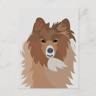 Cartão Postal Arte de Cachorro Sheltie Fofo