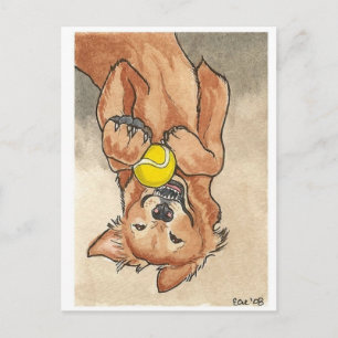 Cartão Postal Arte De Cão De Retriever De Ouro De Bola tênis