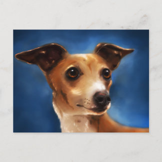 Cartão Postal Arte de Cão Galgo Italiano - Magnifico