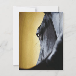 Cartão Postal Arte de Close-Up do Olho de Cavalo Majestoso