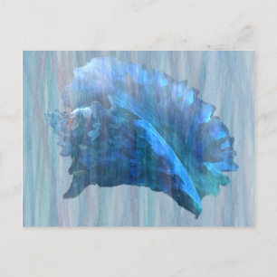 Cartão Postal Arte de Concha Azul em Conchas Marinhas