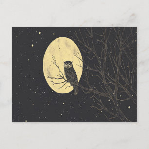 Cartão Postal Arte de Coruja Vintage Sob um Céu Iluminado pela L
