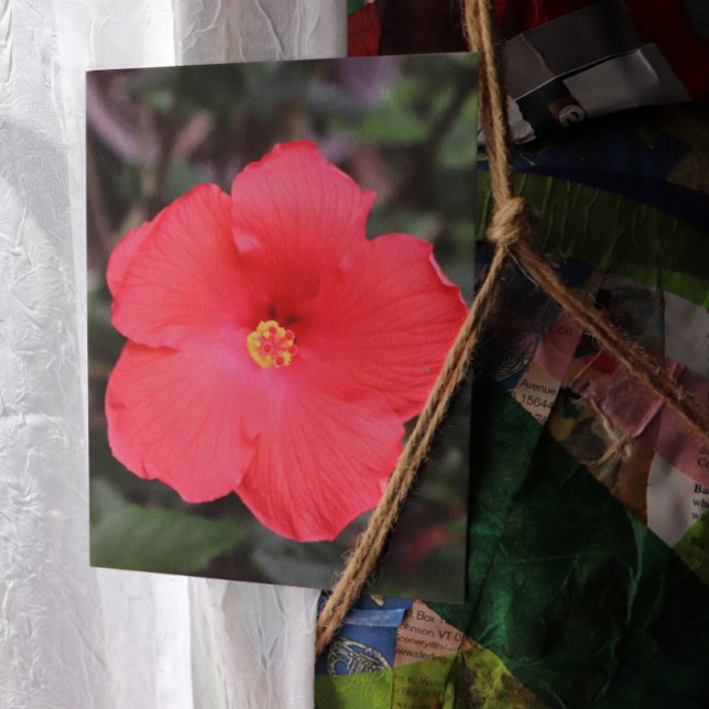 Cartão Postal Arte de Flor Tropical de Hibiscus (Criador carregado)
