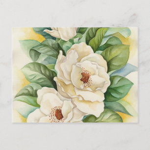 Cartão Postal Arte de Flores de Magnólia Branca Vintage