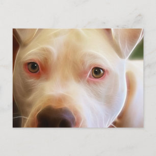Cartão Postal Arte de Fotografia de Olhos de Cachorro Pitbull Fi