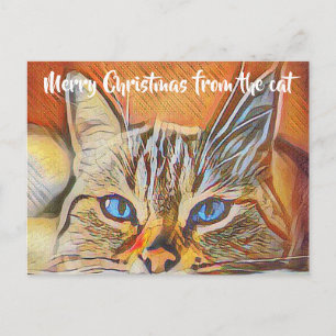 Cartão Postal Arte de Gato de Olhos Azuis Bonito Feliz Natal