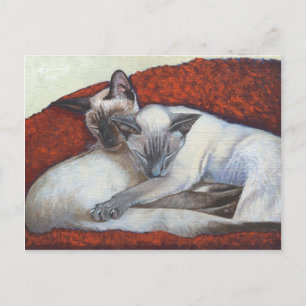 Cartão Postal Arte de Gato Siamesa Adormecida