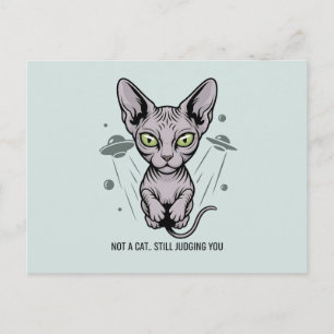 Cartão Postal Arte de Gato Sphynx Julgador no Espaço