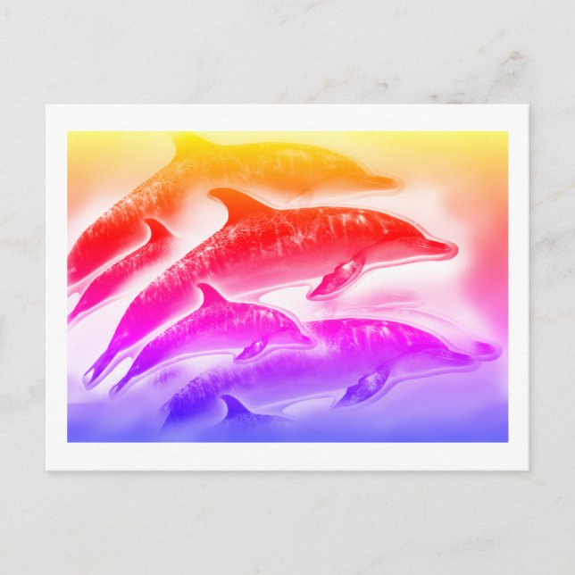 Cartão Postal Arte de golfinhos arco-íris (Frente)