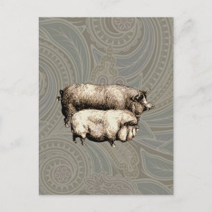 Cartão Postal Arte de Ilustração Anterior de País de Fazenda de
