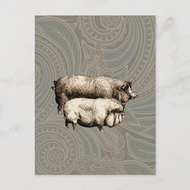 Cartão Postal Arte de Ilustração Anterior de País de Fazenda de  (Frente)