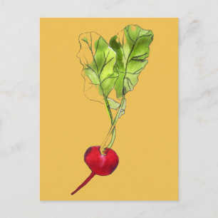 Cartão Postal Arte de ilustração com aquarela vegetal de rabanet