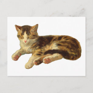 Cartão Postal Arte de Ilustração de Gato Sonolento Vitoriano Ant