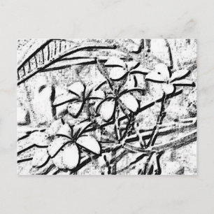 Cartão Postal Arte de Lápis Frangipani