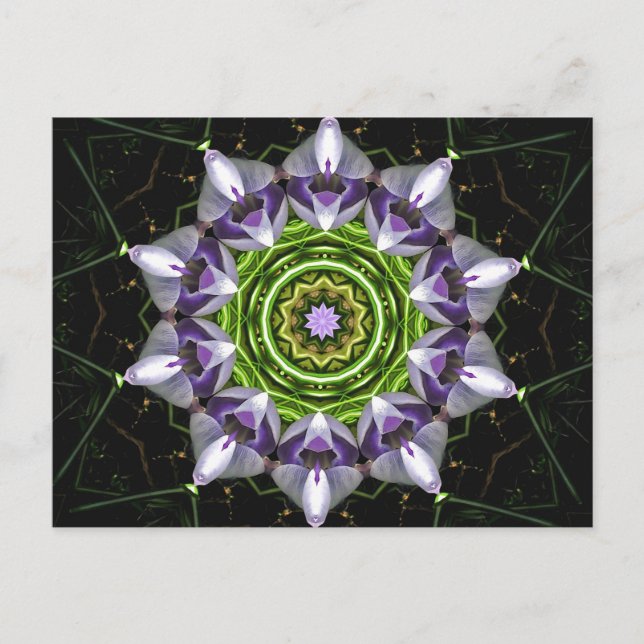Cartão Postal Arte de Mandala Floral Roxo em Caleidoscópio (Frente)