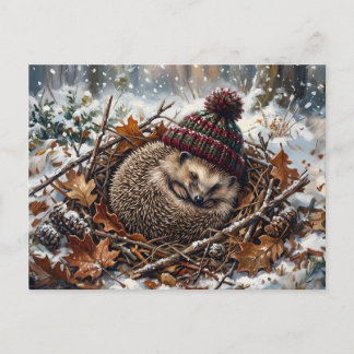 Cartão Postal Arte de ouriço-cacheiro a dormir no inverno