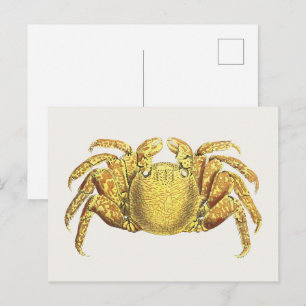 Cartão Postal Arte de Parede Costeira de Caranguejo Variado Náut