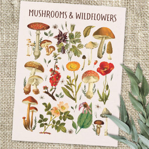 Cartão Postal Arte de Parede de Carta de Cogumelos e Flores Silv
