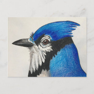 Cartão Postal Arte de pássaro em aquarela Mister Blue Jay