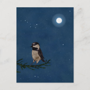 Cartão Postal Arte de Pássaros, à noite com Lua, Ursa Grande, Es