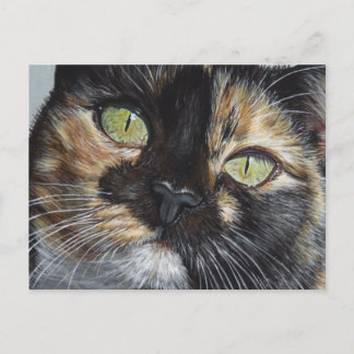 Cartão Postal Arte de Pintura Tortie Tortoisesinferno Stare de C