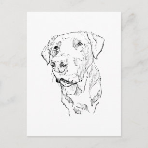 Cartão Postal Arte de Poster de Labrador Retriever, Impressão de