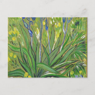 Cartão Postal Arte de Van Gogh Íris, reprodução acrílica