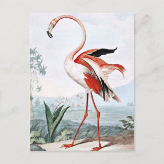 Cartão Postal Arte de Vintagem de Pássaros Flamingo Rosa
